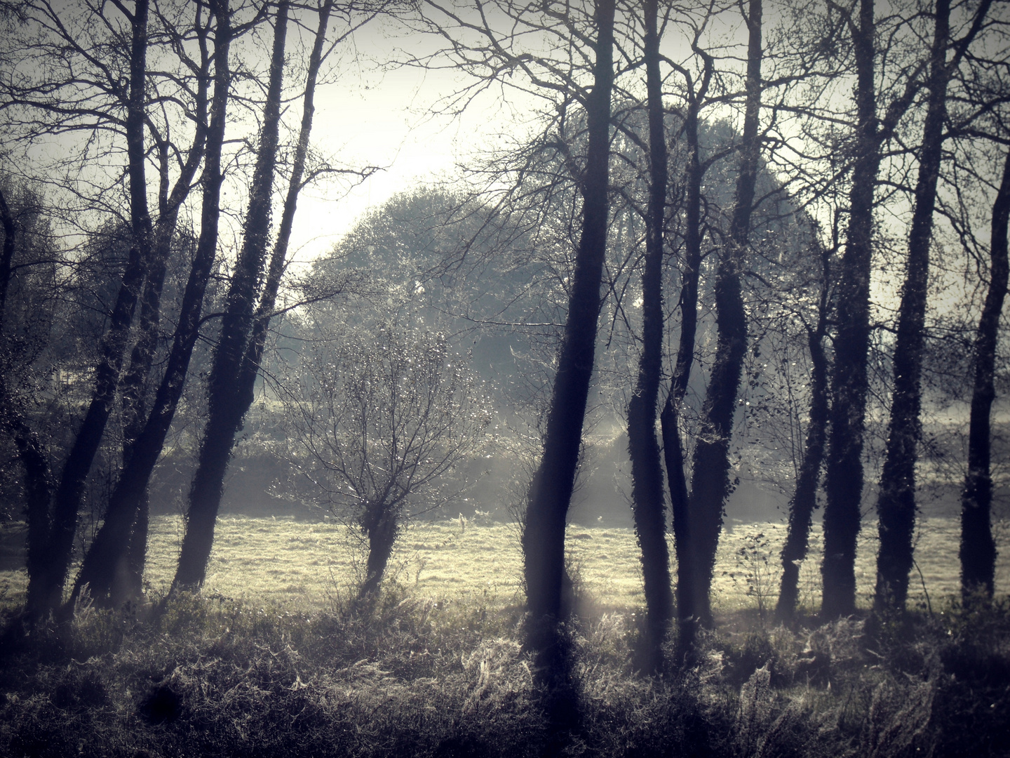 Otoño por Astorga