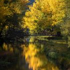 Otoño Rio Duero Soria