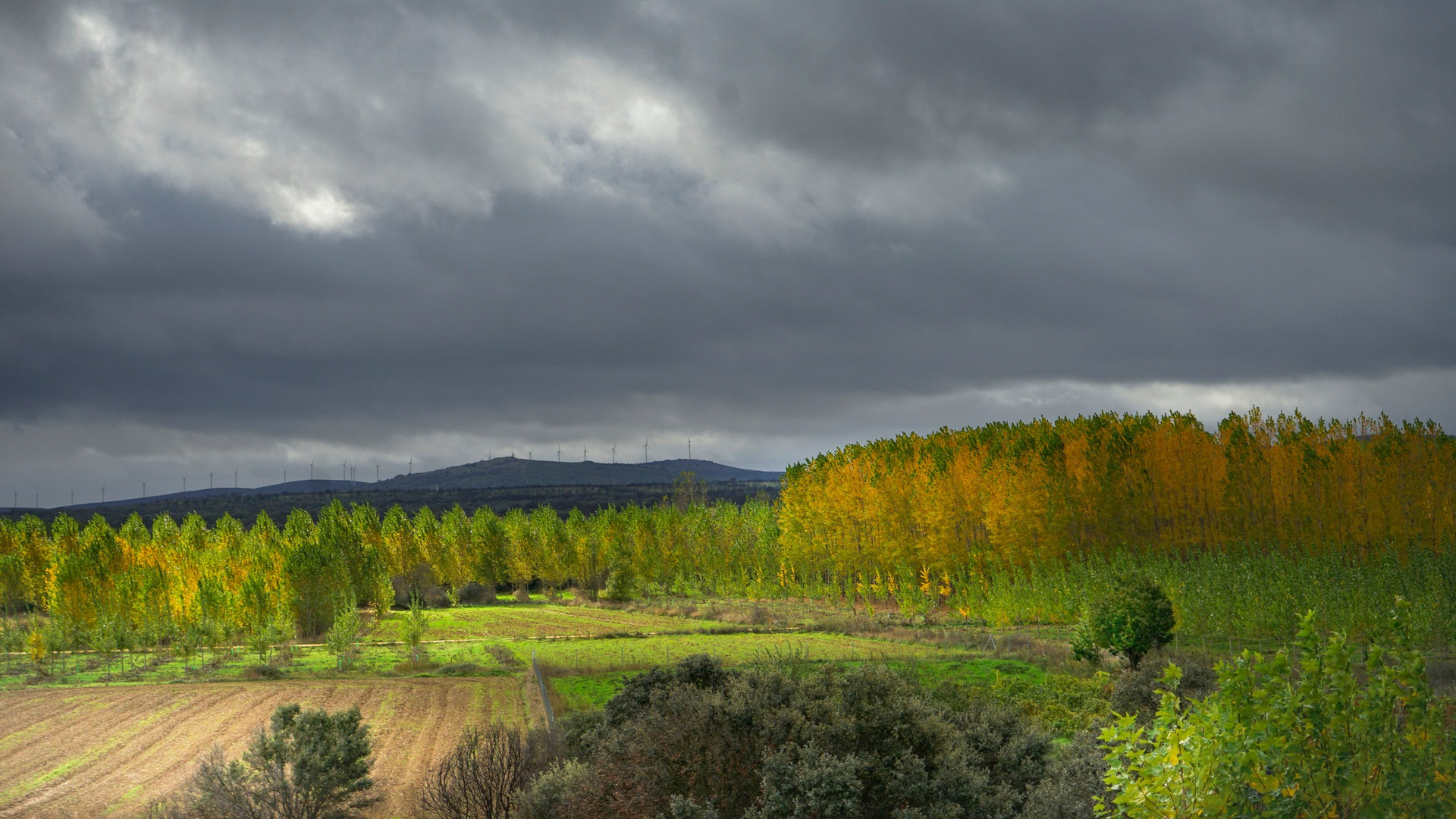 Otoño. Santa María de Valverde. Zamora