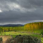 Otoño. Santa María de Valverde. Zamora