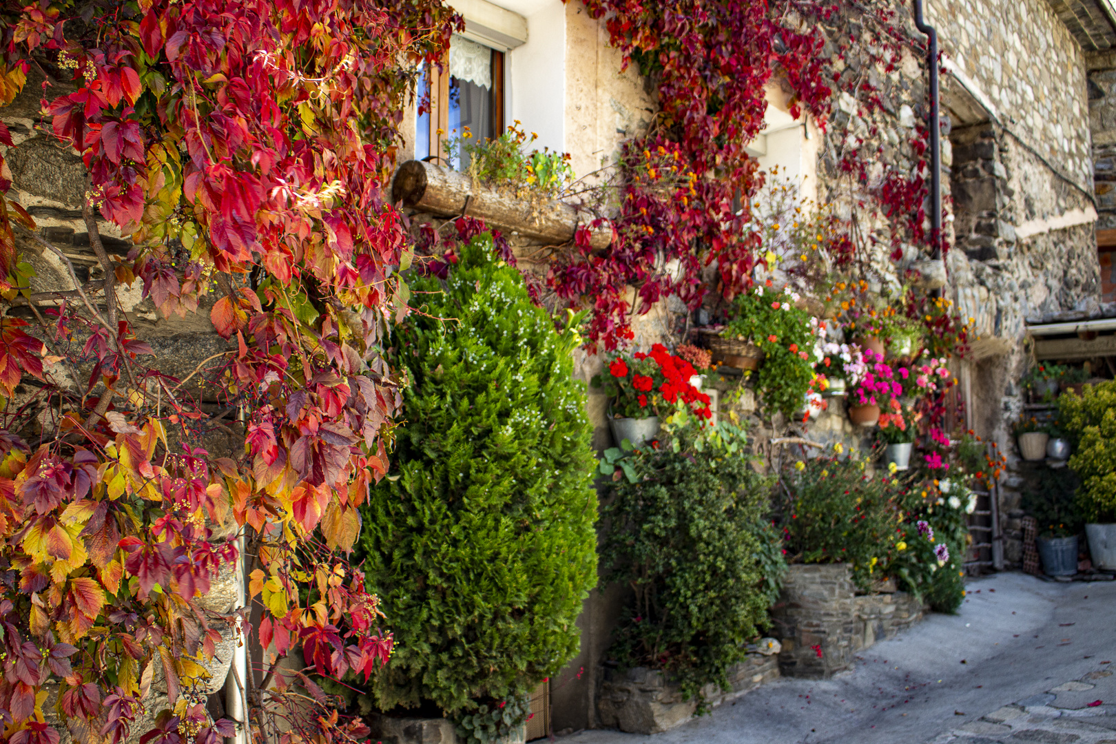 Otoño Setcases Gerona