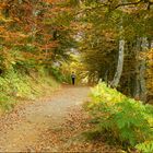 "Otoño solitario"