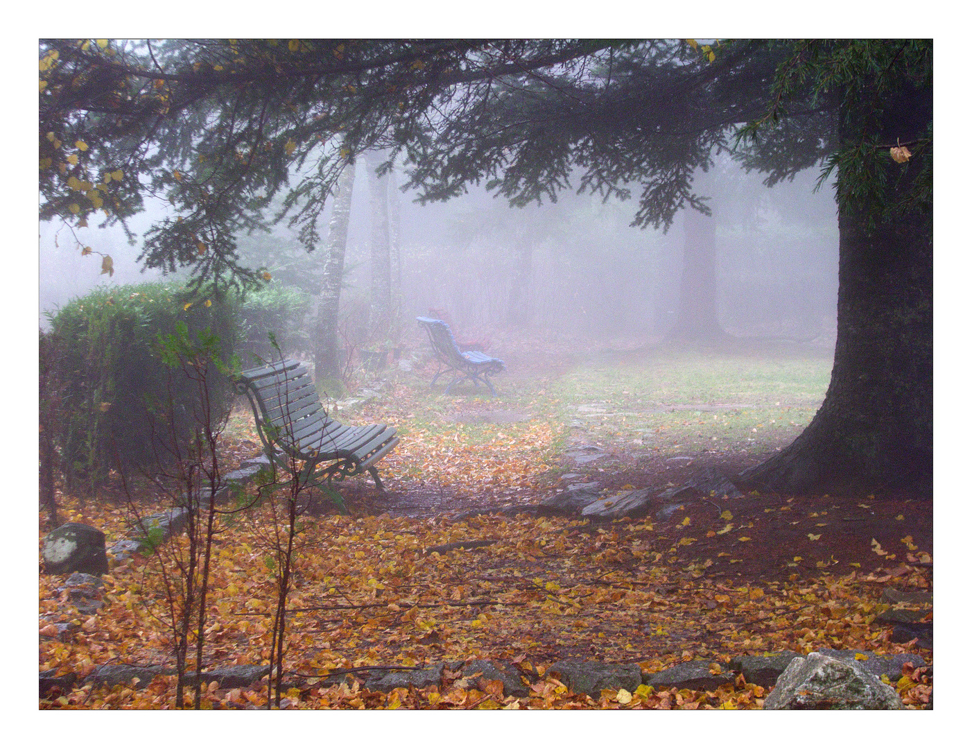 Otoño y niebla