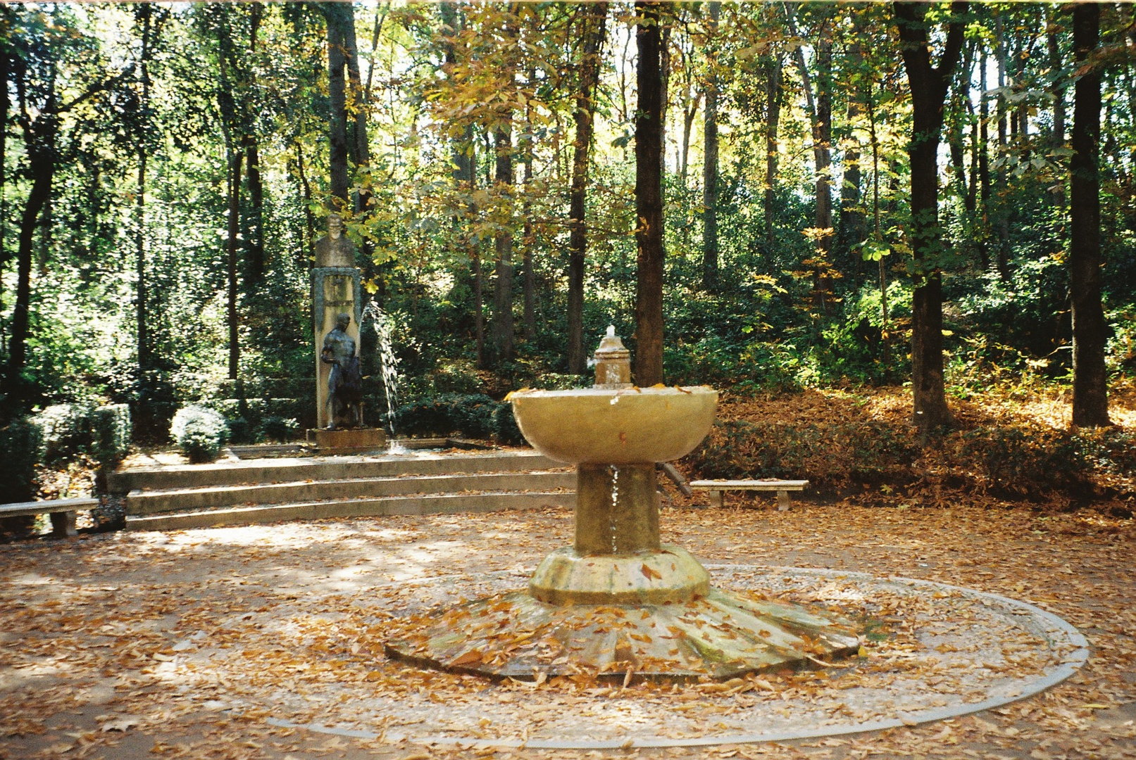 Otoño,bosque de la Alhambra