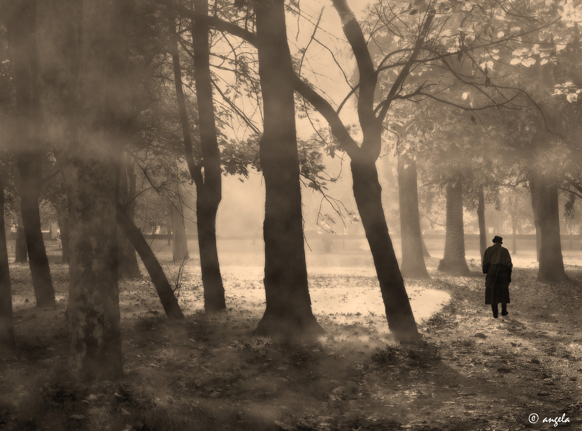 Otoño:el parque en la bruma