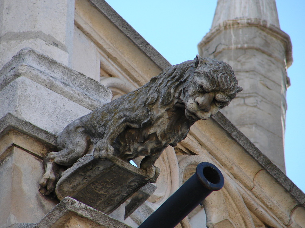 Otra gárgola en forma de león de la Catedral de Palencia