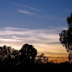 Otra tarde de Otoño.