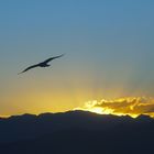 Otro atardecer