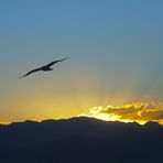 Otro atardecer