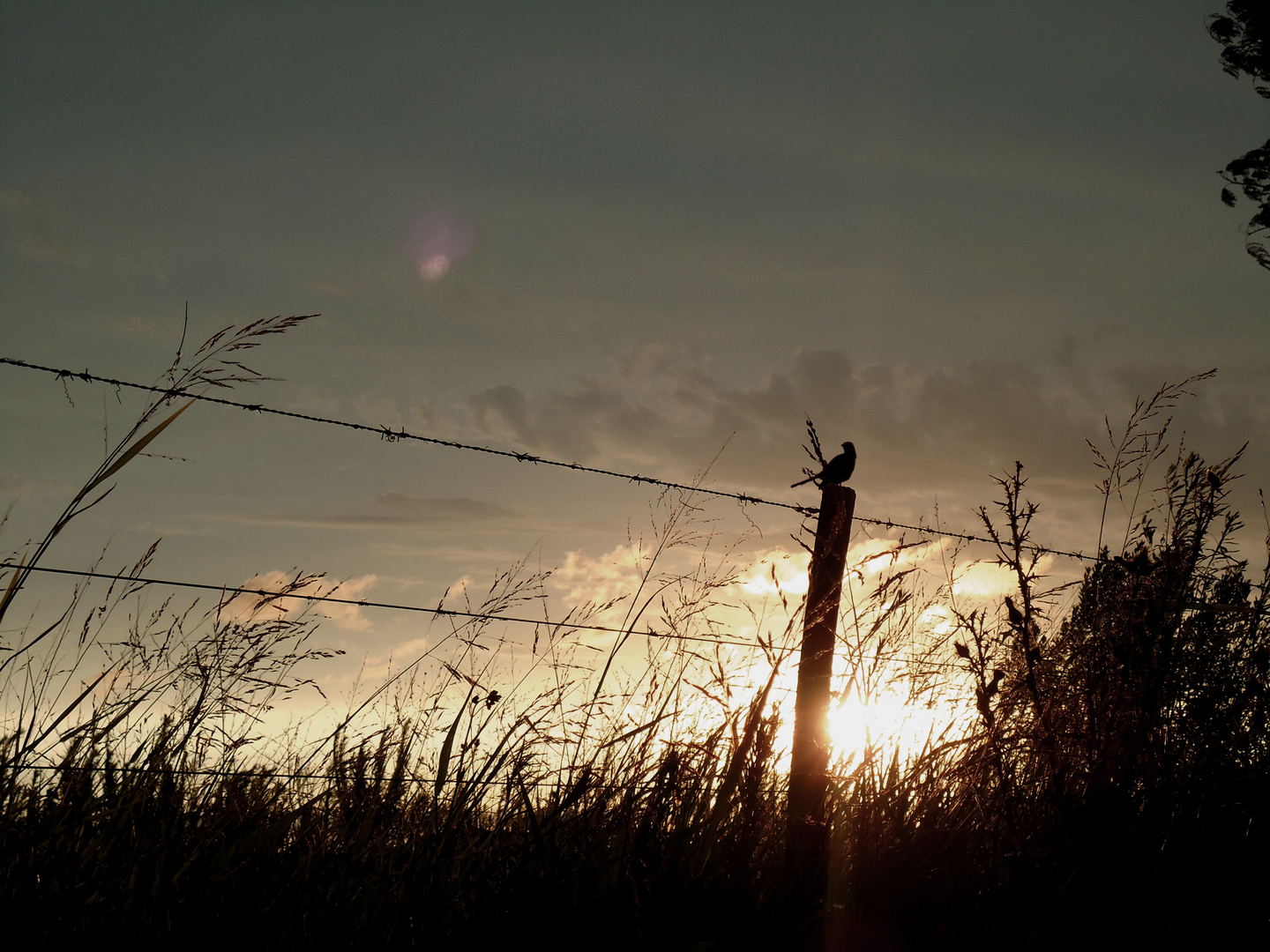 Otro Atardecer