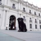 Otro Guardia de Palacio