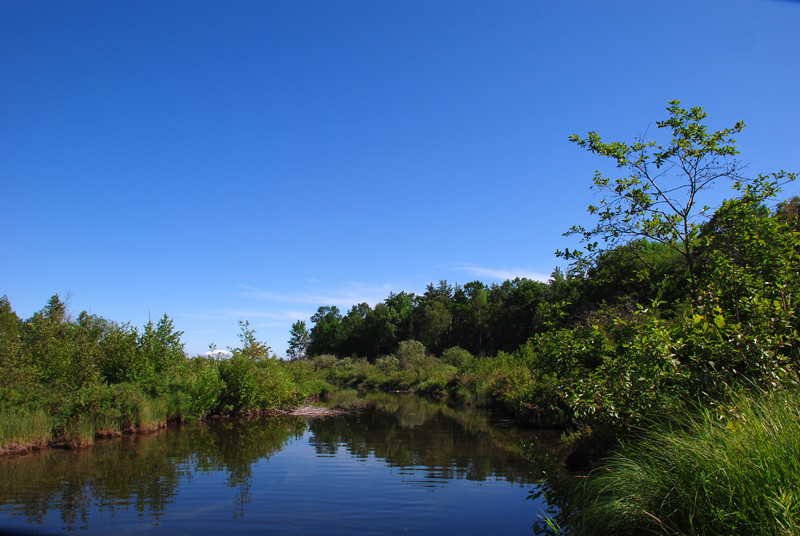 Otter Creek