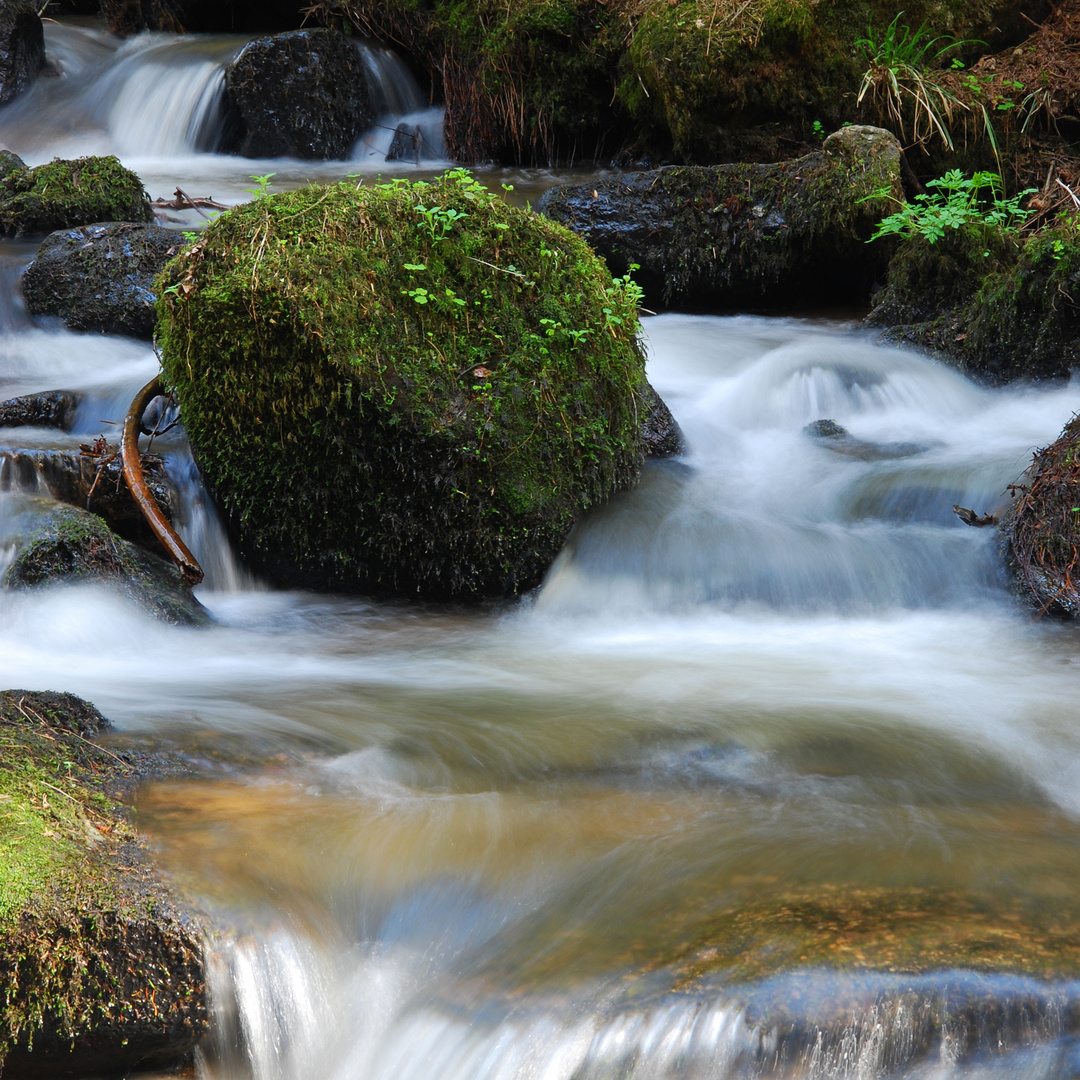 Otterbach_reloaded