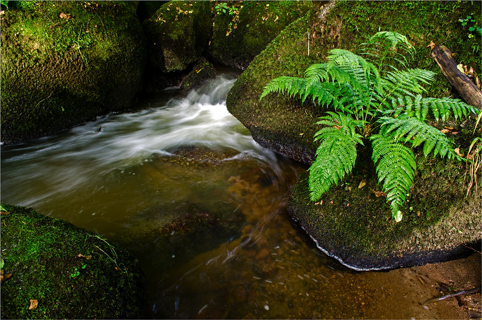 Otterbachtal