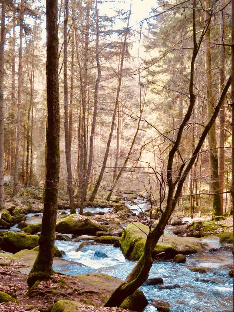 Otterbachtal