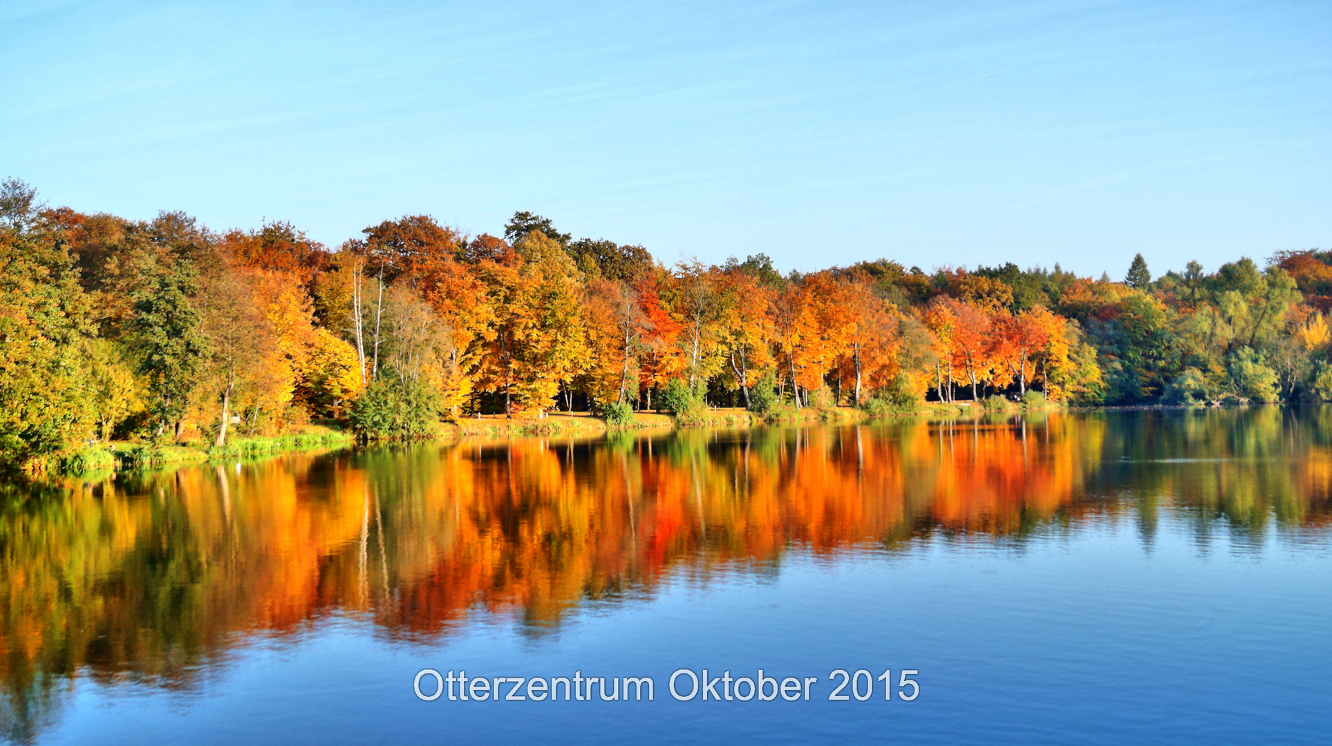 ottersee