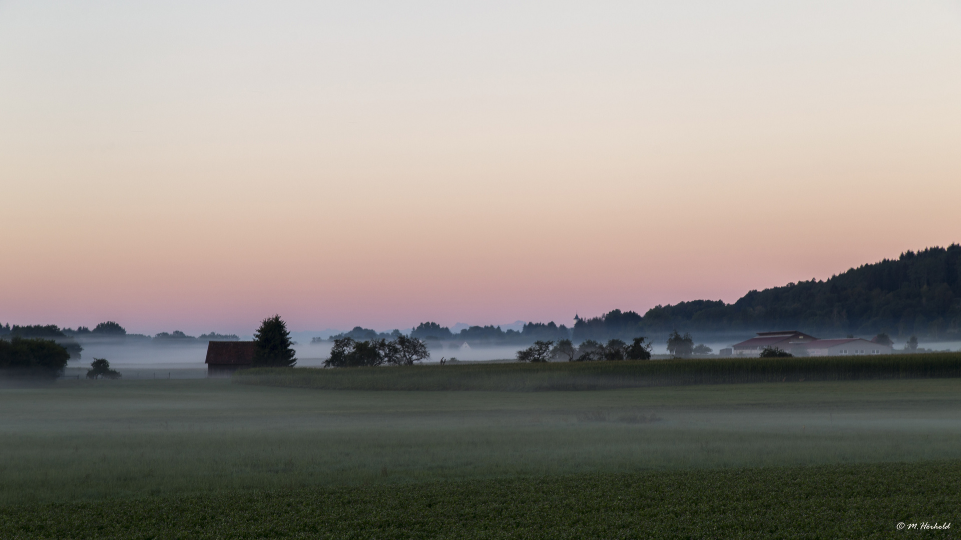 Otterswang im Nebel