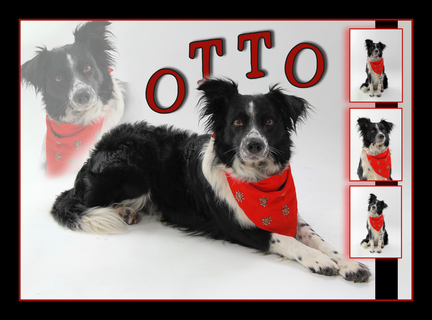 otto