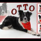 otto