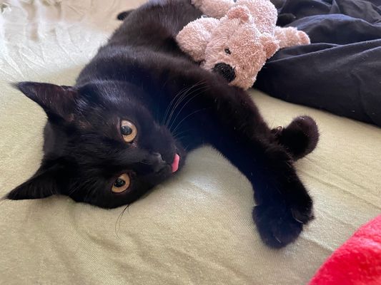 Otto, guck, es wird schon wieder geknipst