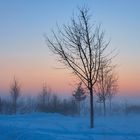 Ottobrunn im Nebel