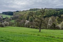 Ottweiler Flur im Frühling