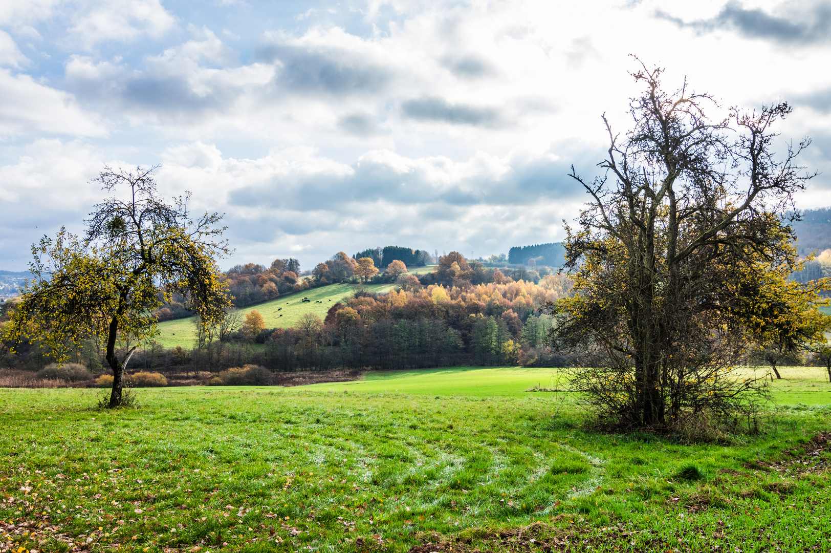 Ottweiler Flur im Herbst