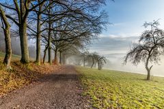 Ottweiler Flur im Nebel