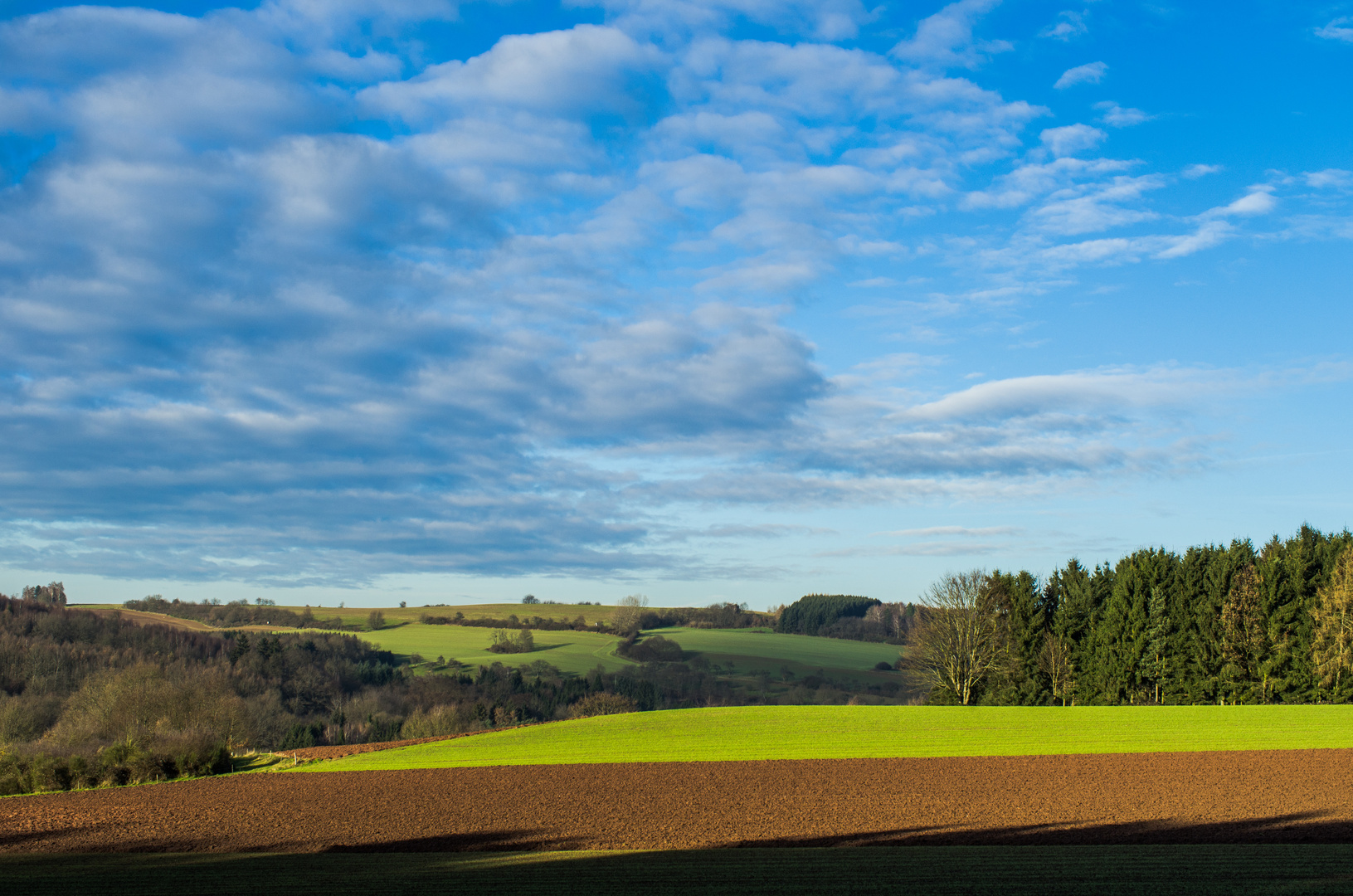 Ottweiler Flur (Saarland)