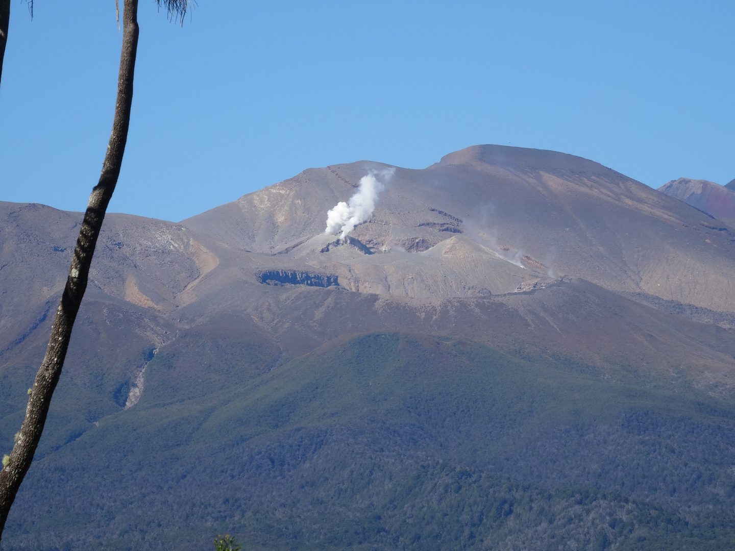 Otukou, Waikato Neuseeland