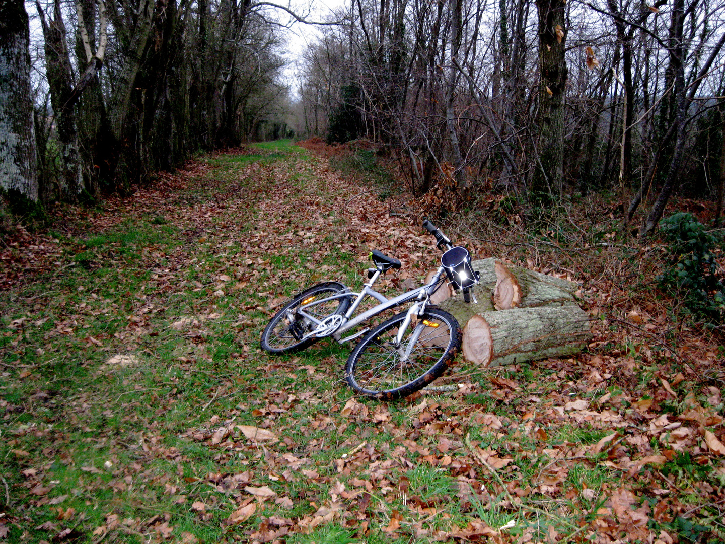 où est le cycliste ????