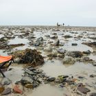 Ou est passé le pêcheur ...