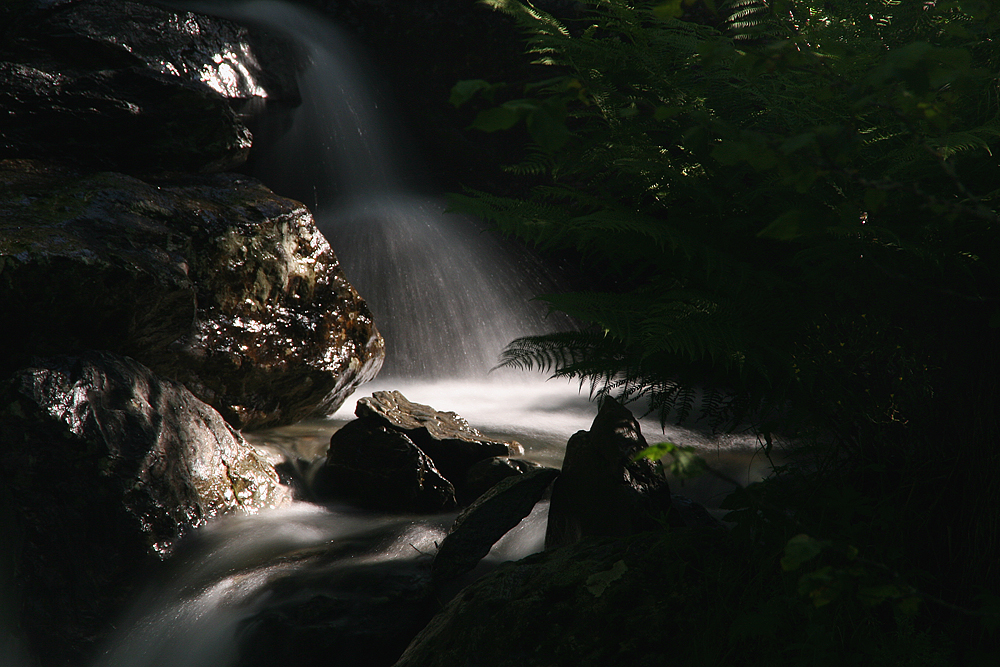 Ou quand les glaciers pleurent....