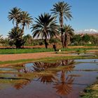 Ouarzazate