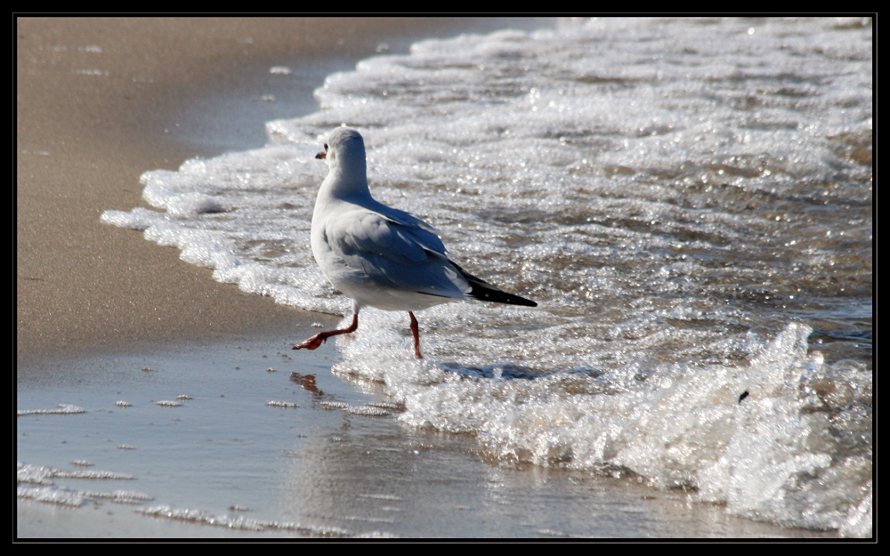 ouch! cold water