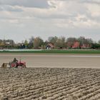 Oude Tonge - Oudelandsedijk - 09