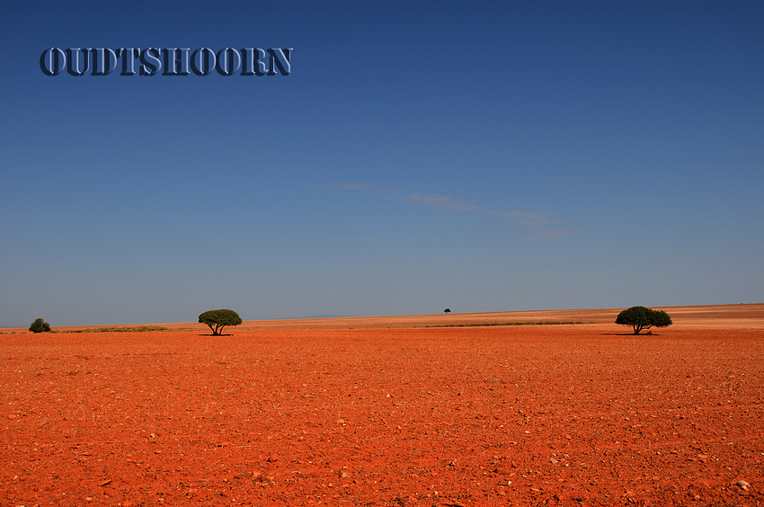 Oudtshoorn / Karoo