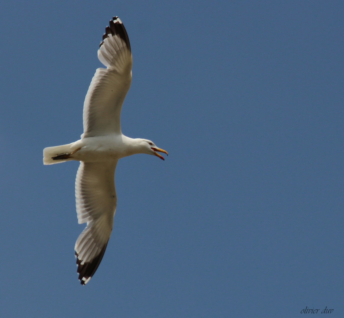 ouff de l'air .... ;-)