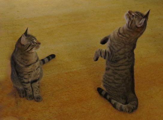 OUPS MAIS T' ES SOUPLE MON FRERE  !!!