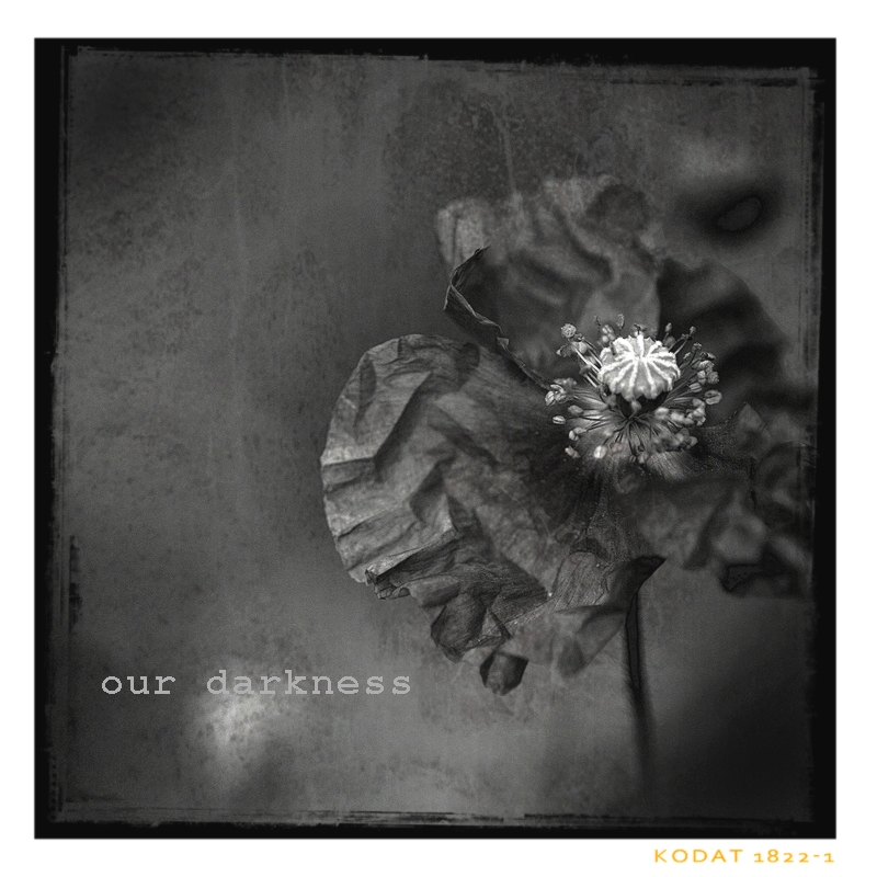 our darkness, 1a