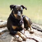 Our First son...! Resting after a day of Swimming with us at our secret campsite.!