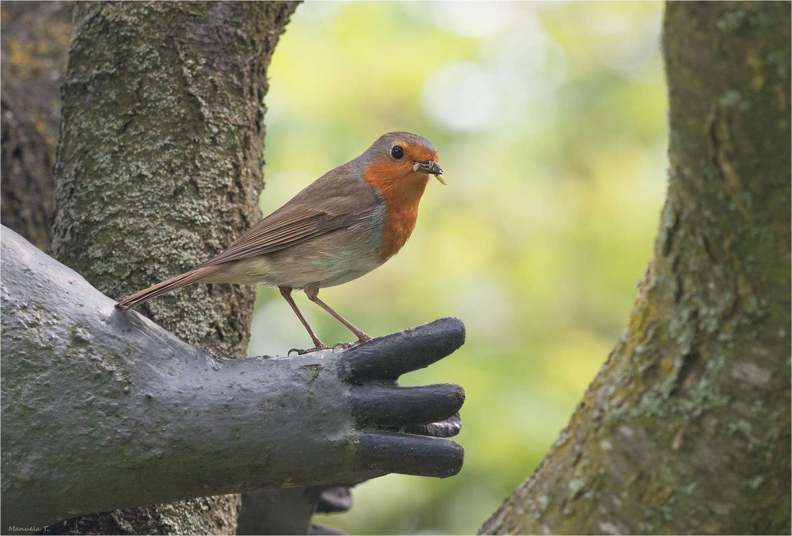 our garden visitors