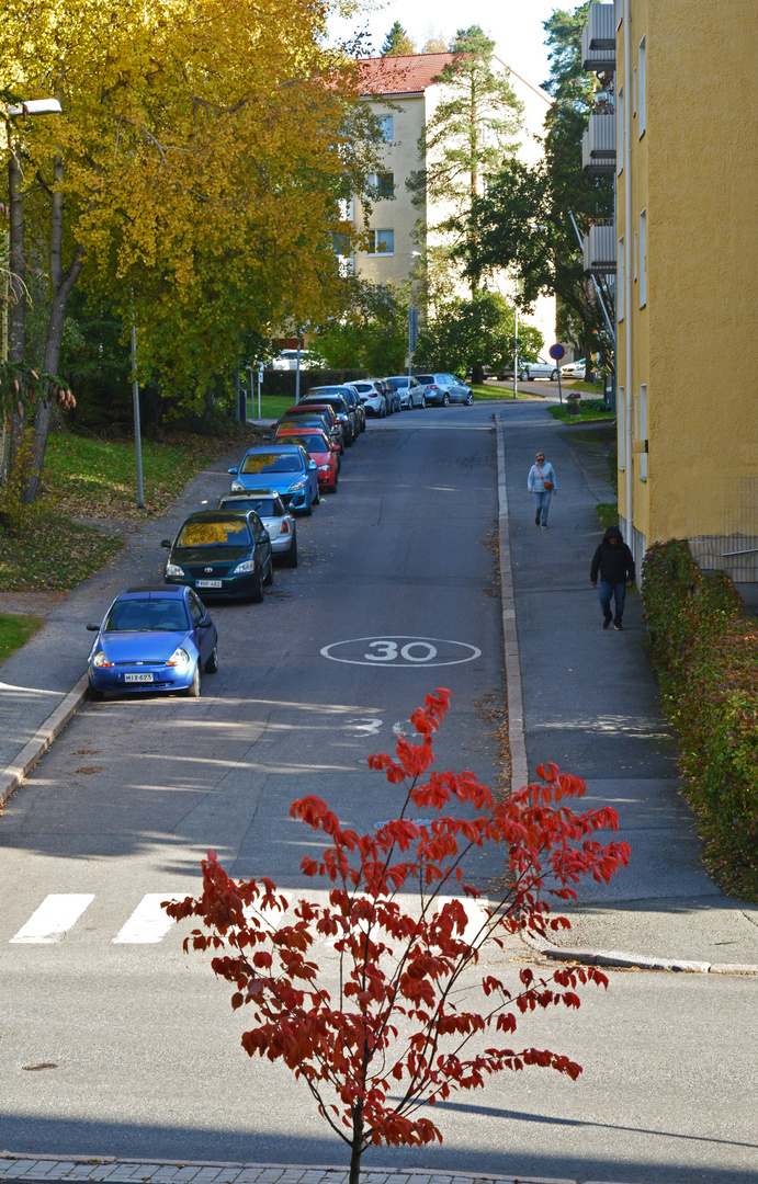 Our home street