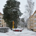 Our home yard on winter