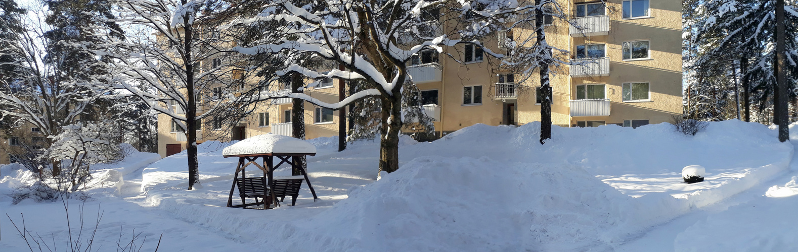 Our home yard on winter