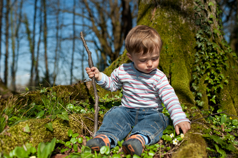 Our Little Shepherd-boy