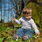 Our Little Shepherd-boy