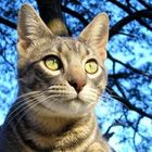 User Profile Photo