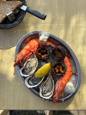 Oursins au Parc Conchylicole de Leucate