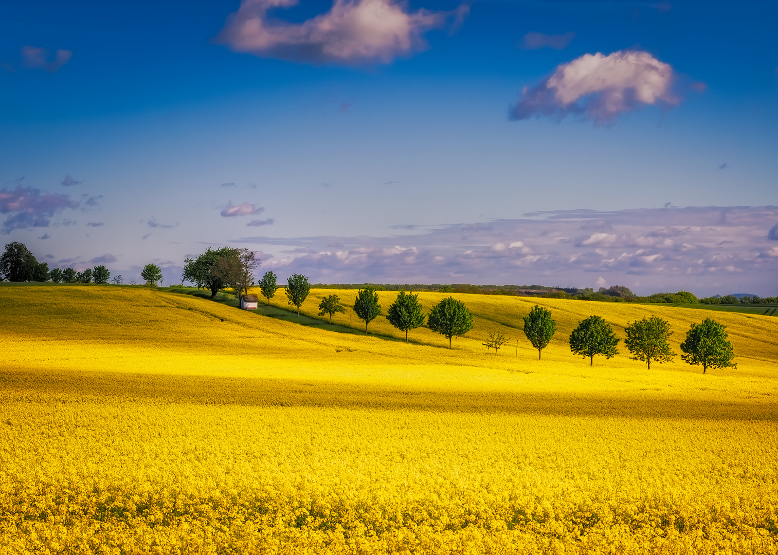 out in the fields